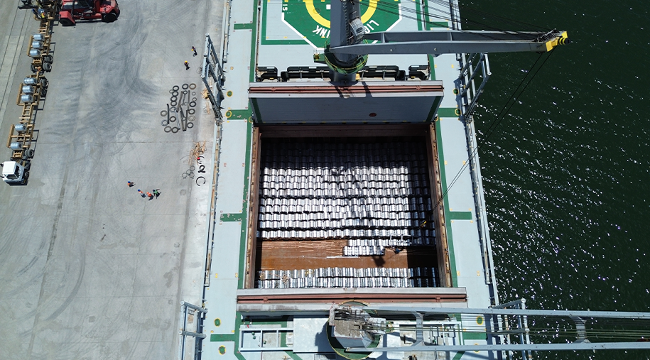 ASIPONA Puerto Chiapas participa en jornada de limpieza de playas en el marco del día mundial del medio ambiente