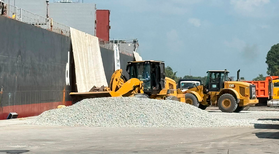 ¡Acción por el Medio Ambiente!
