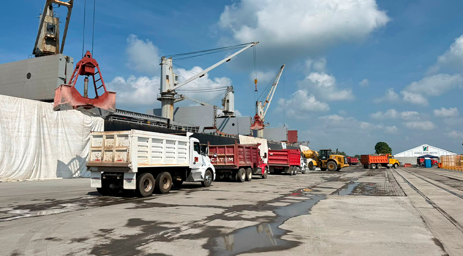 ¡Acción por el Medio Ambiente!
