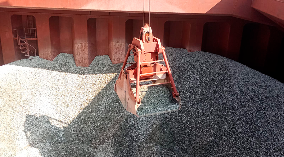 ¡Acción por el Medio Ambiente!