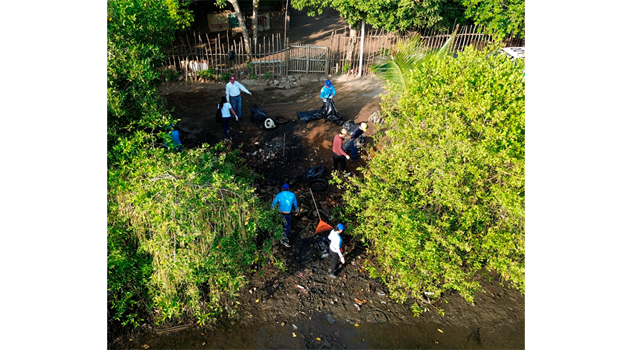 ASIPONA Puerto Chiapas participa en jornada de limpieza de playas en el marco del día mundial del medio ambiente