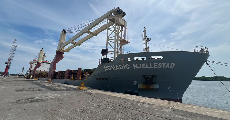 ¡Acción por el Medio Ambiente!