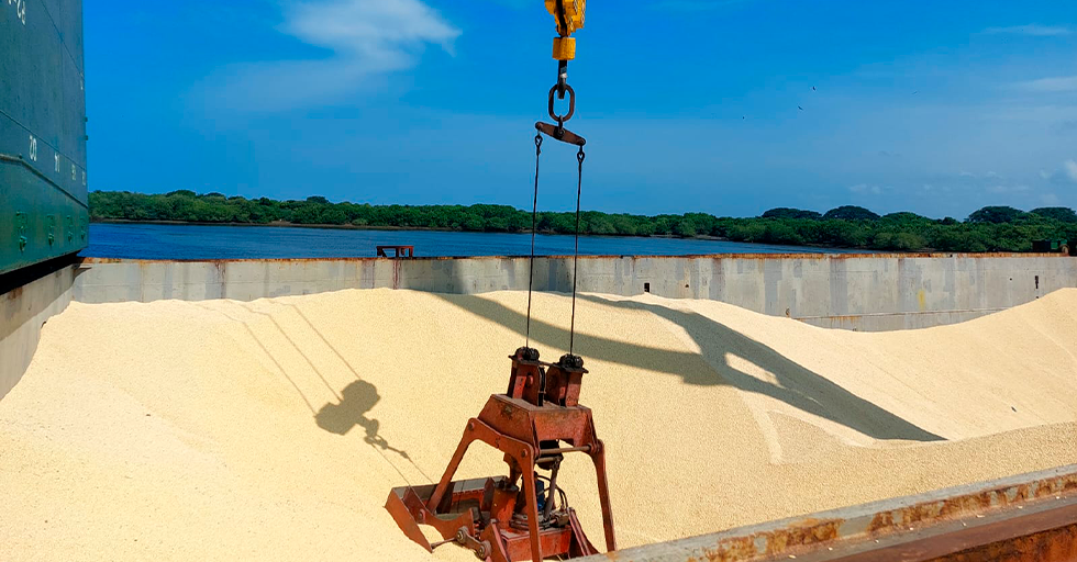 ¡Acción por el Medio Ambiente!