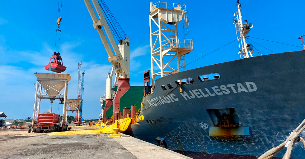 ¡Acción por el Medio Ambiente!